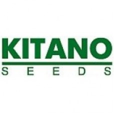 Kitano Seeds